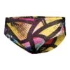 Dolfin Uglies Beauty And The Beach Briefs -Swimming Gear Shop 7501l racer 409 beauty and the beach onform front 1529505641