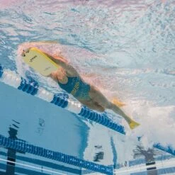 Swimming Gear Shop -Swimming Gear Shop setw3bn4