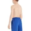 Zoggs Boys Penrith 15 Inch Length Shorts - Speed Blue -Swimming Gear Shop tumbnail 3621c0e1 bff7 427a 9f32 9127e049406f